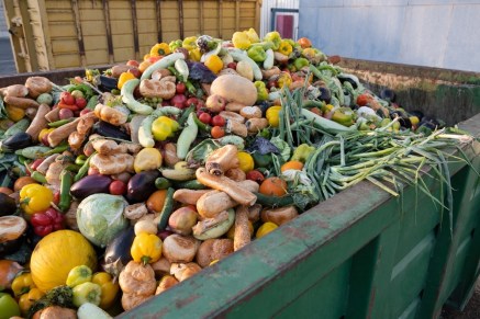 Expired,Organic,Bio,Waste.,Mix,Vegetables,And,Fruits,In,A